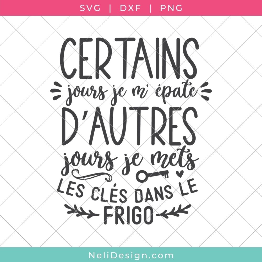 Image du fichier SVG de la citation drôle en français pour votre Cricut : Certains jour je m'épate, d'autre jours je mets les clés dans le frigo